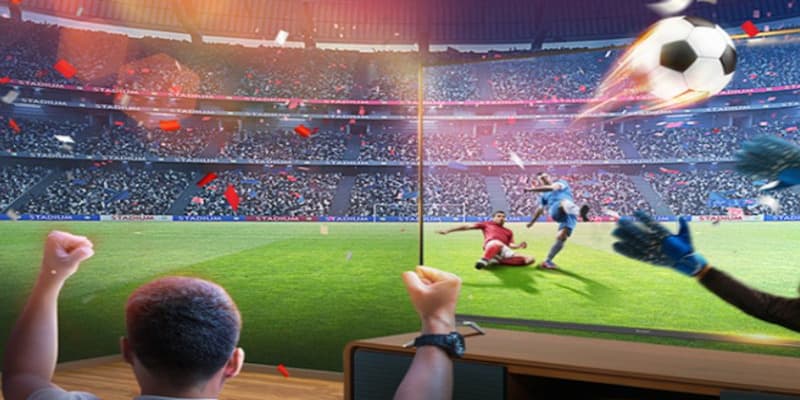 Cá cược e-sports 7m