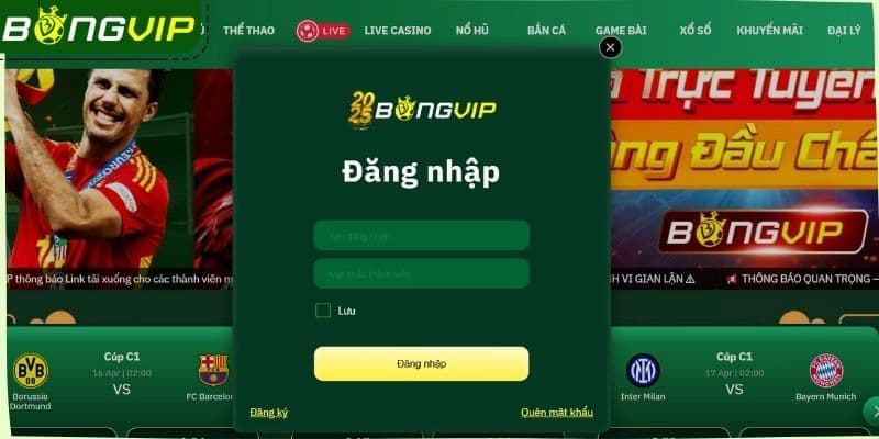 Đăng Nhập Bongvip Hòa Mình Vào Thế Giới Giải Trí Vô Hạn
